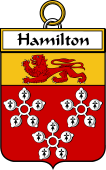 Irish Badge for Hamilton