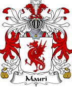 Italian Coat of Arms for Mauri