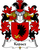 Polish Coat of Arms for Kopacz