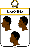 Irish Badge for Cardiffe