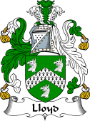 Irish Coat of Arms for Lloyd