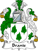 Scottish Coat of Arms for Branis