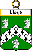 Irish Badge for Lloyd