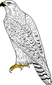 Birds of Prey Clipart image: The White Falcon