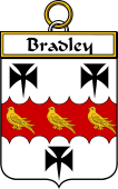 Irish Badge for Bradley