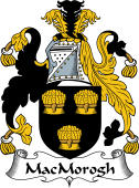 Irish Coat of Arms for MacMorogh (King of Leinster)