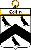 Irish Badge for Collin