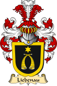 v.23 Coat of Family Arms from Germany for Liebenau