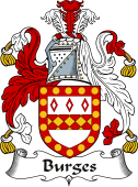 Irish Coat of Arms for Burges