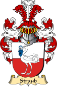 v.23 Coat of Family Arms from Germany for Straub