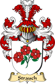 v.23 Coat of Family Arms from Germany for Strauch