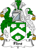 Scottish Coat of Arms for Flint