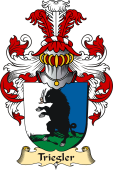 v.23 Coat of Family Arms from Germany for Triegler