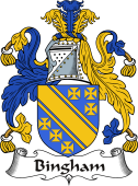 Irish Coat of Arms for Bingham