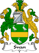 English Coat of Arms for the family Swan