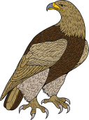 Birds of Prey Clipart image: Royal Eagle or Golden