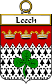 Irish Badge for Leech