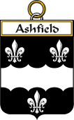 Irish Badge for Ashfield