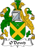 Irish Coat of Arms for O'Dowd