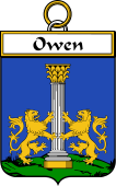 Irish Badge for Owen