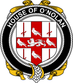 Irish Coat of Arms Badge for the O'NOLAN family