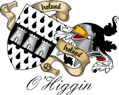 Sept (Clan) Coat of Arms from Ireland for O'Higgin