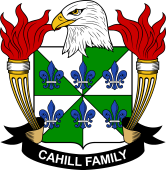 Coat of arms used by the Cahill family in the United States of America