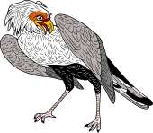 Birds of Prey Clipart image: Secretary Bird or Marching Eagle)