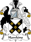 English Coat of Arms for the family Hawkins