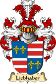 v.23 Coat of Family Arms from Germany for Liebhaber