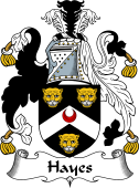English Coat of Arms for the family Hayes