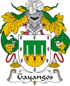 Spanish Coat of Arms for Gayangos