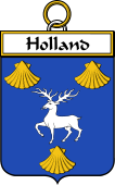 Irish Badge for Holland