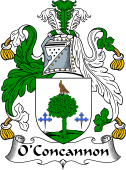 Irish Coat of Arms for O'Concannon