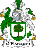 Irish Coat of Arms for O'Flanagan
