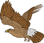 Birds of Prey Clipart image: Imperial Eagle in Flight