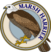Birds of Prey Clipart image: Marsh Harrier or Moor Hawk-M