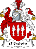Irish Coat of Arms for O'Galvin