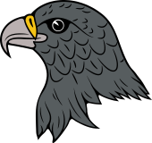 Birds of Prey Clipart image: Hawk Head