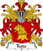 Italian Coat of Arms for Testa