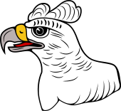 Birds of Prey Clipart image: Harpy Eagle Head
