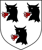 English Family Shield for Trumbull