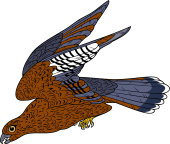 Birds of Prey Clipart image: Merlin Falcon