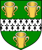 Irish Family Shield for O'Coffey (Cork)