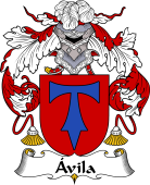 Spanish Coat of Arms for Ávila II