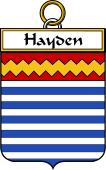 Irish Badge for Hayden or O'Hayden