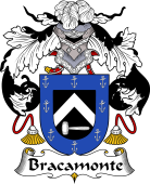 Spanish Coat of Arms for Bracamonte