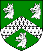 Irish Family Shield for Wynne (Sligo and Wexford)