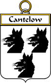 Irish Badge for Cantelow (e)