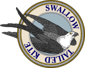 Birds of Prey Clipart image: Swallow-Tailed Kite-M
